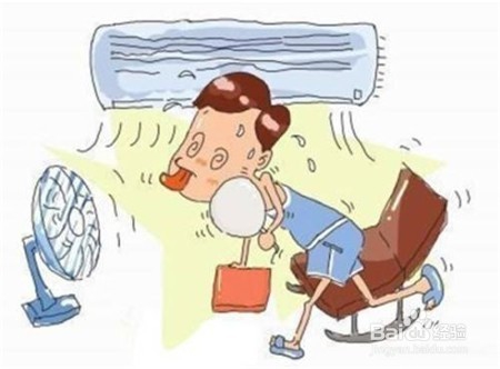 干石斛价格,不知道的点击查看