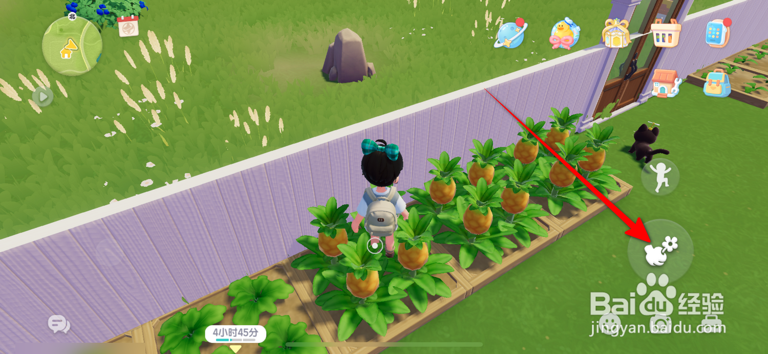 心动小镇怎么获得园艺熟练度