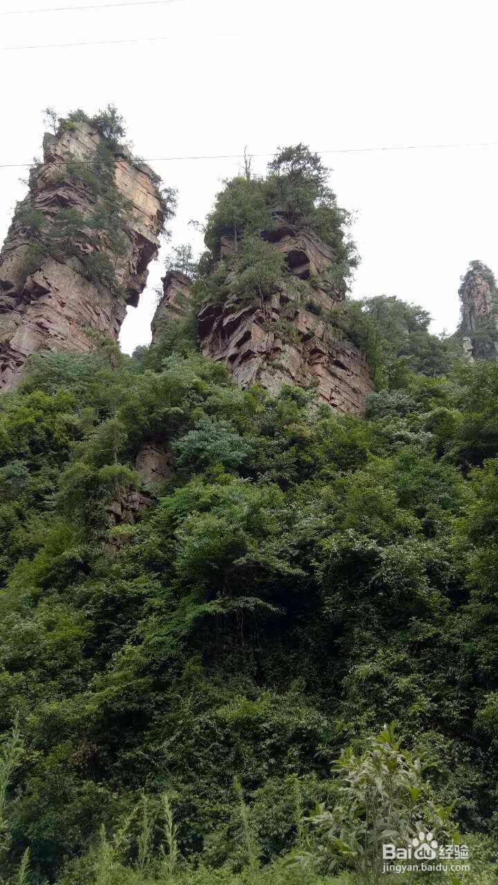 槟榔谷与驻马溪一日游