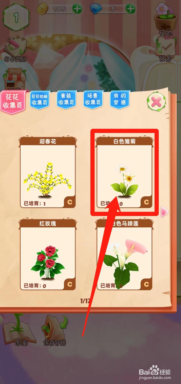 花花姑娘之魔法花园如何查看白色雏菊简介