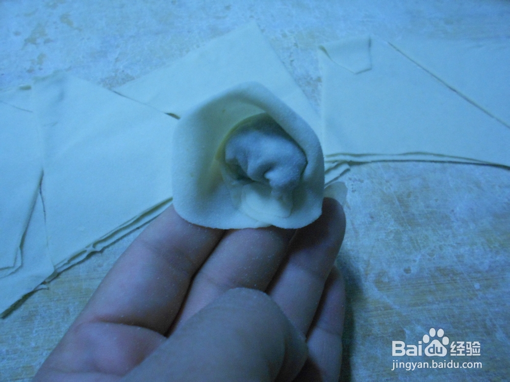 自己在家做 牛肉大葱 馄饨