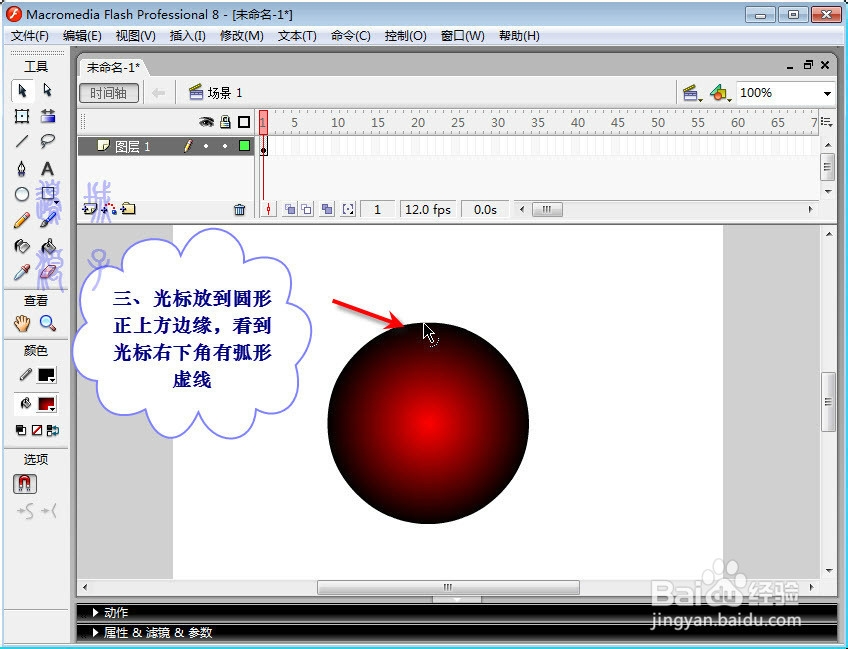 在Flash中画苹果