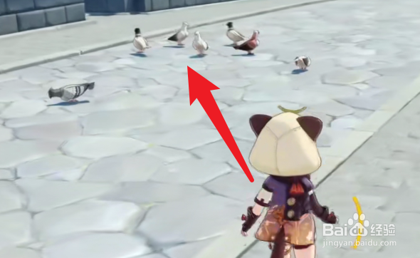 原神2.3灰羽鸽在哪里