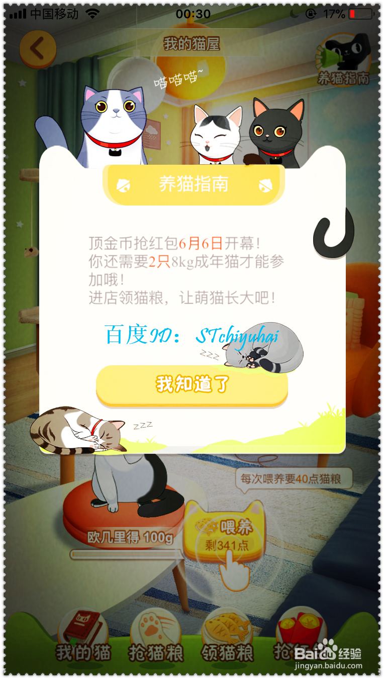 如何参与淘宝618的养猫活动