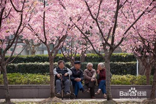 空巢老人如何排遣寂寞