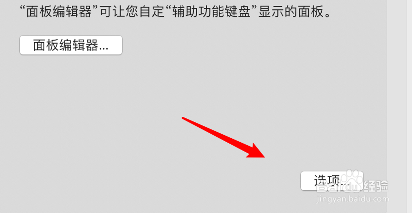 mac电脑怎么设置屏幕键盘自动大写句子首字母