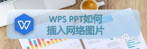 WPS PPT如何插入网络图片