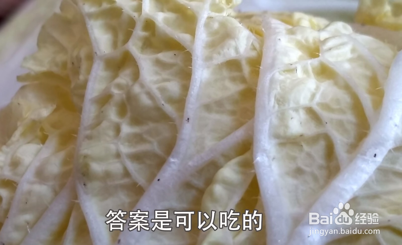 大白菜上有“黑点”还能吃吗?
