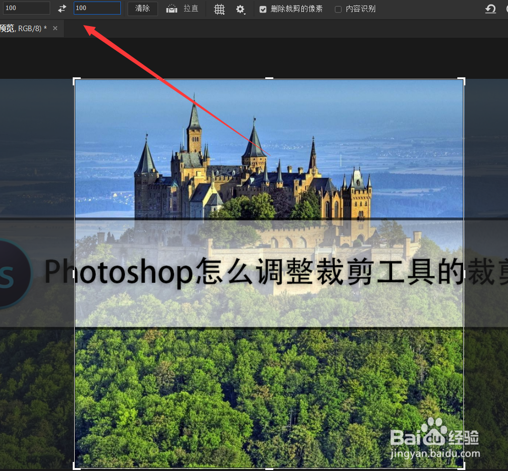 Photoshop怎么调整裁剪工具的裁剪比例?
