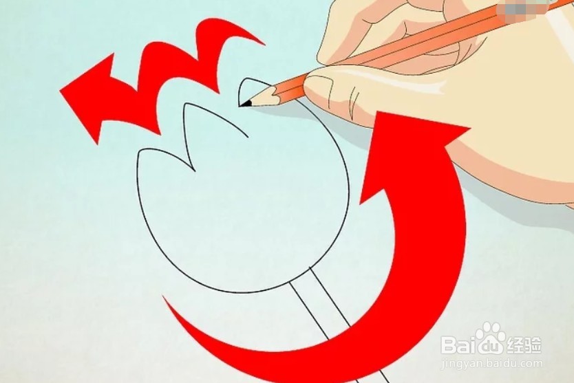 如何画卡通郁金香？