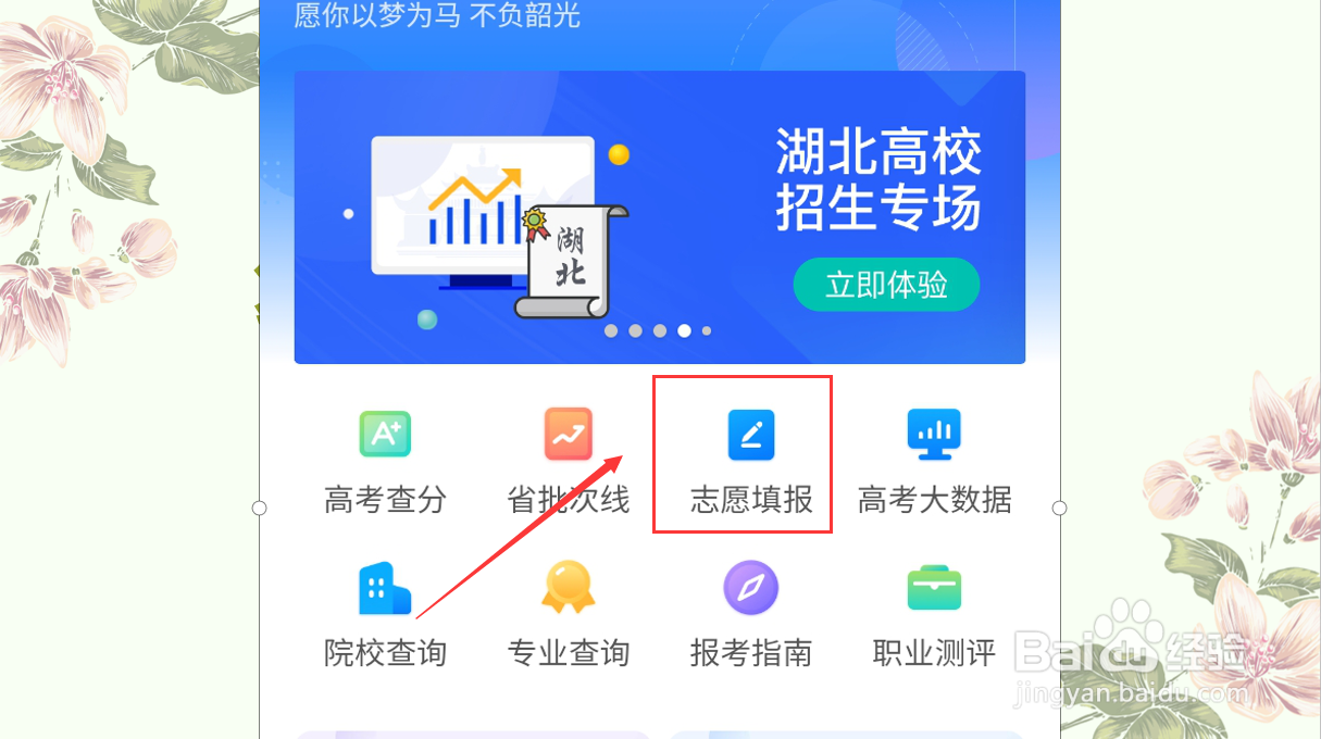 2020年广东高考如何查分和填报志愿?