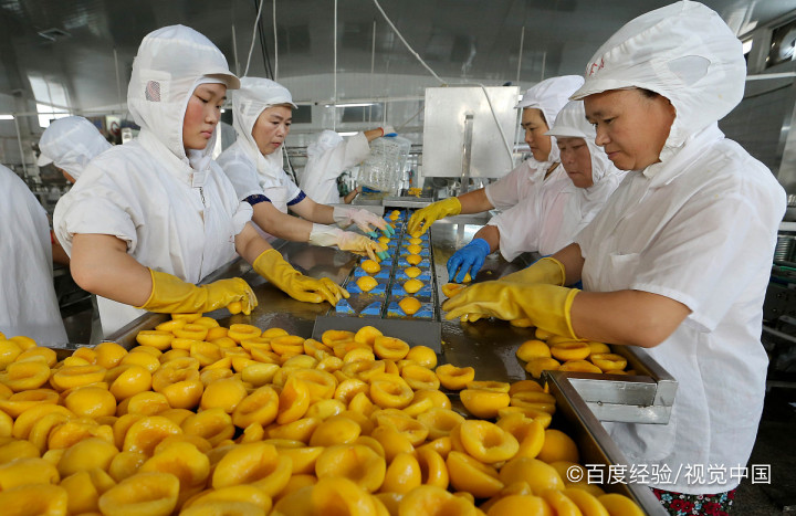 如何制作黄桃罐头