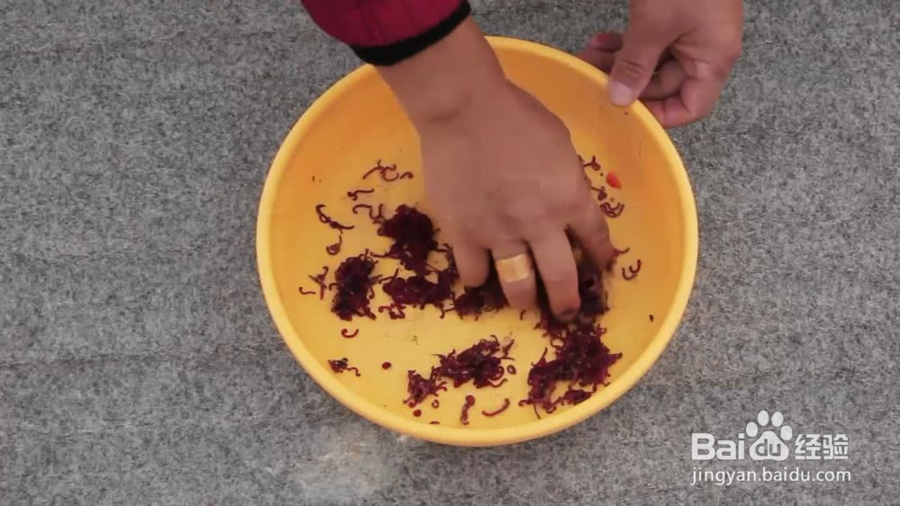 七彩鱼不吃食,总是躲在角落怎么办