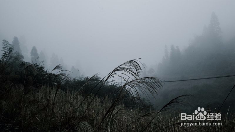 自有山林怎么招商