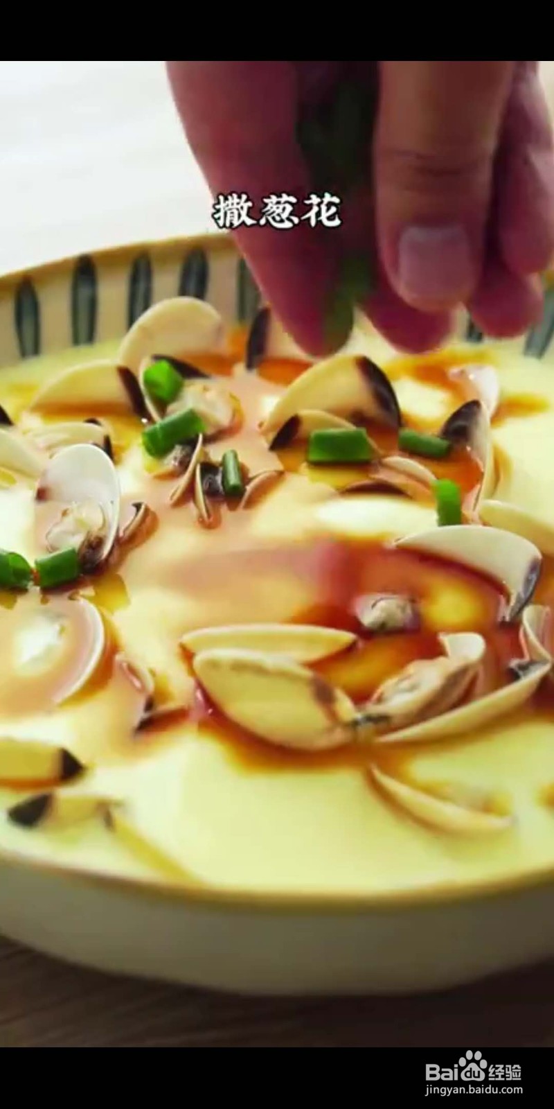 白贝蒸蛋怎么做好吃？