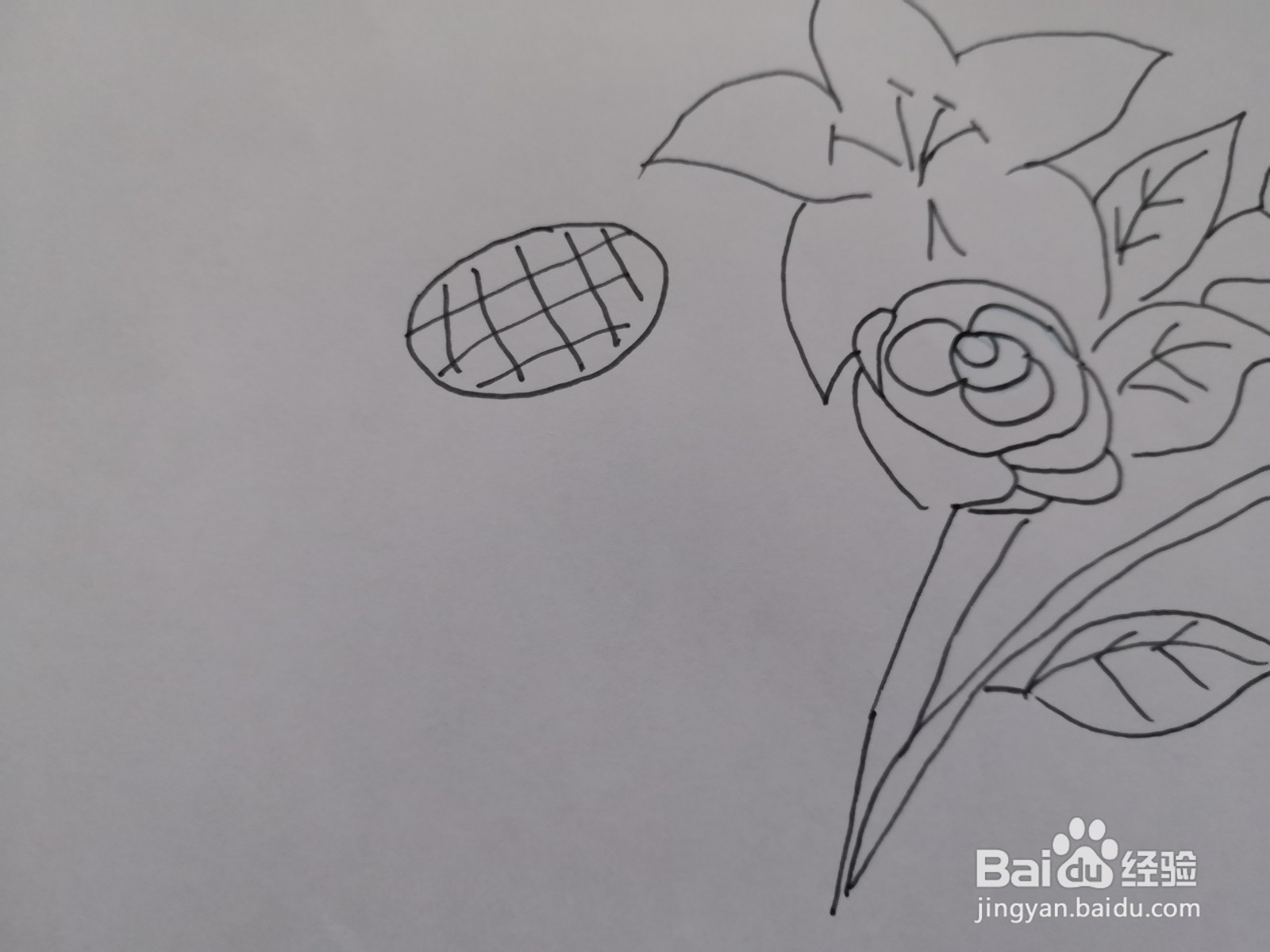 简笔画花朵图片