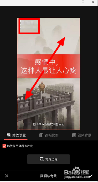 视频怎么去水印app