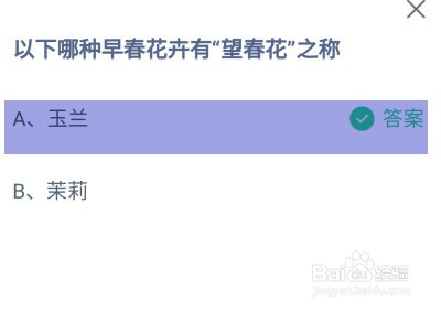 哪种早春花卉有