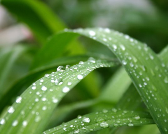 12promax微距怎么用