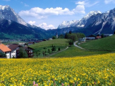 大自然有许多美妙的声音,自然是指什么