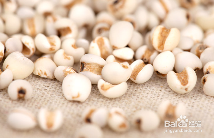 薏米的养生功效有哪些