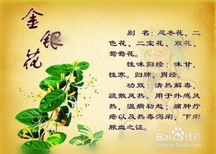 病房护士中药如何核对发放