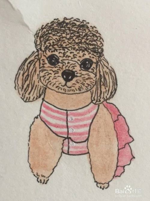 红色彩铅画笔为狗狗的服装上色.