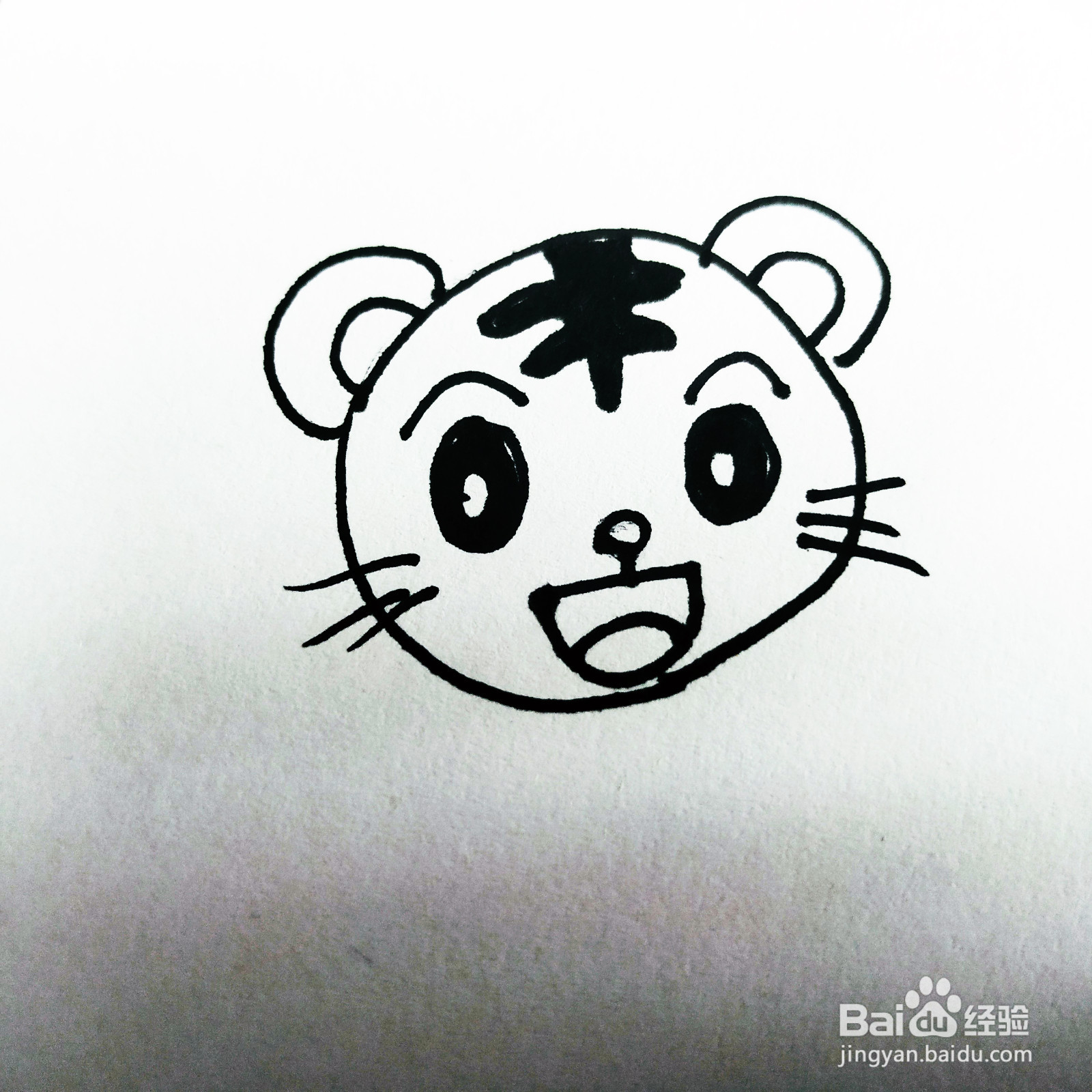 如何来画一只卡通猫咪简笔画呢