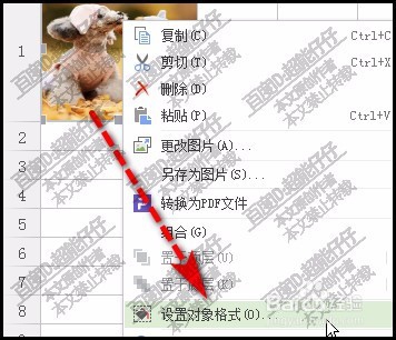 WPS表格插入图片如何随单元格改变而改变