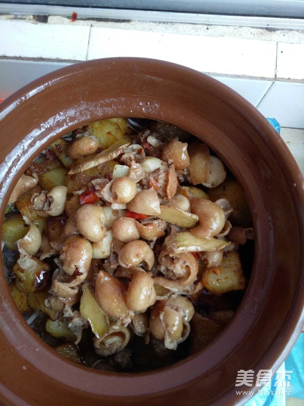 砂锅肥肠的做法