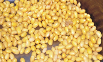 孜然香酥小黄豆