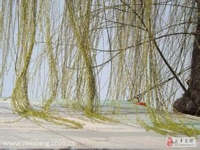 怎样祛除晦气