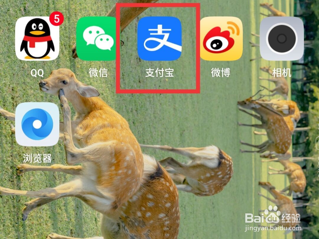 支付宝中如何买汽车票