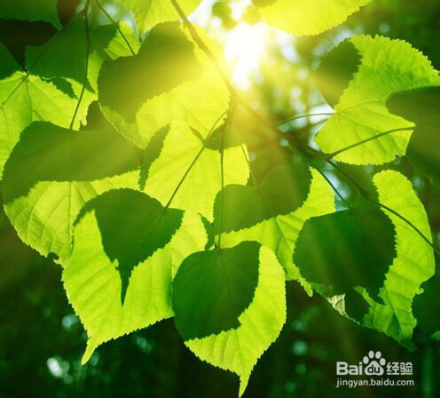 你说，去哪里享受一下阳光呢？