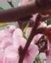 家有主妇妙招无穷51