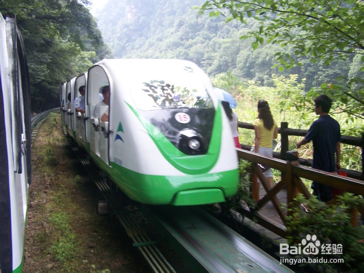 张家界自由行旅游网推荐