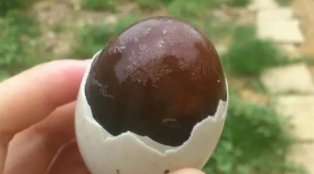 皮蛋蛋清不凝固的原因