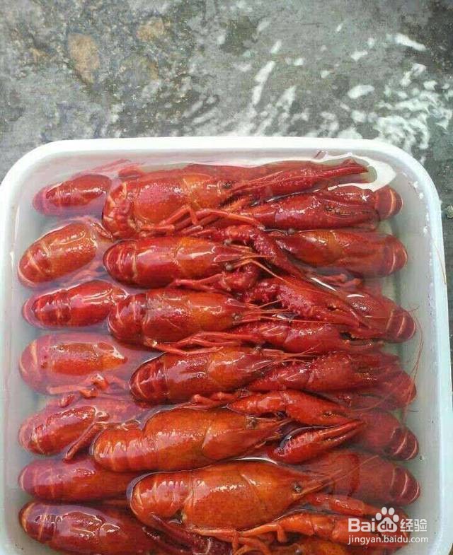 龙虾保鲜储存方法