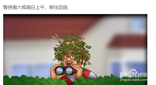 夏日传奇姐姐jenny攻略