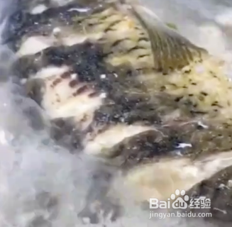 怎样炖鲫鱼豆腐汤好喝呢