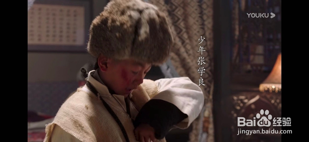 文章李雪健主演的《少帅》如何在手机上收看？