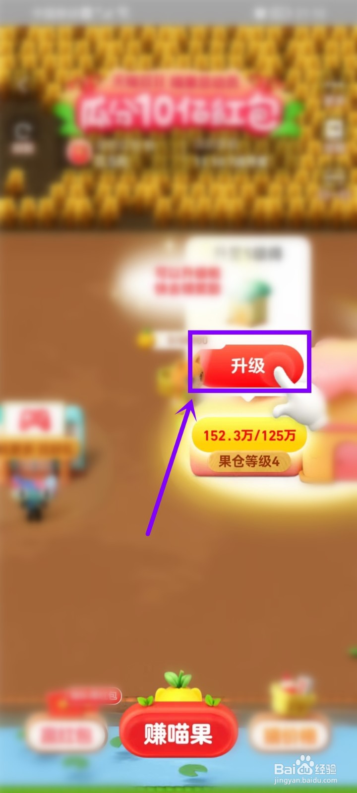 淘宝双11喵果总动员活动如何升级果仓