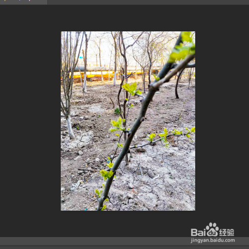 如何将阴暗的图片调的更加明亮一些