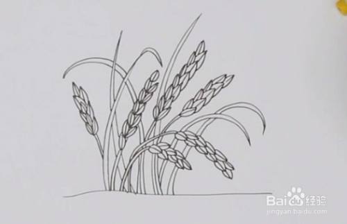 如何画丰收的稻谷简笔画