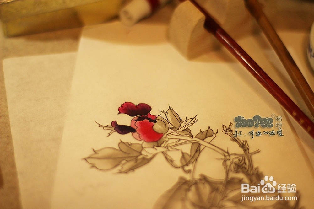 国画工笔花卉技法，起稿上色步骤图以及笔的选择