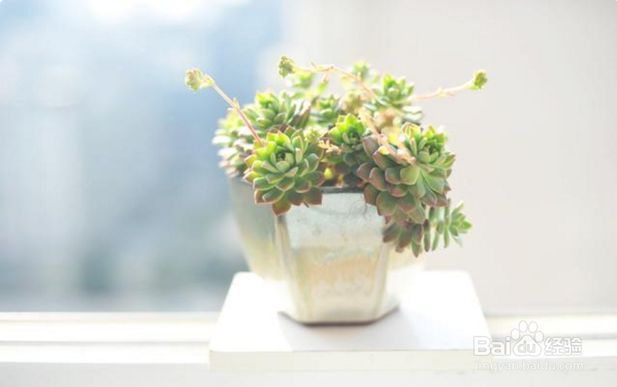 膝盖黑怎么变白，去除膝盖黑小窍门