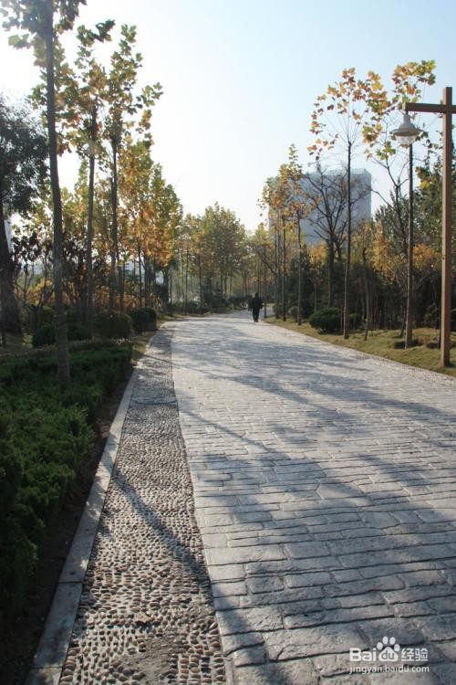 上班族快速减脂的一些简单方法