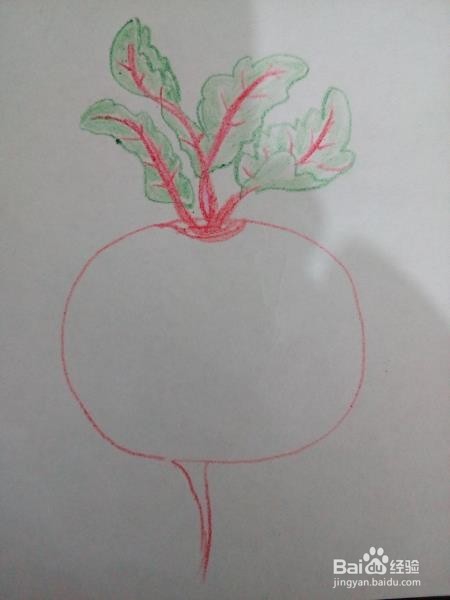 怎样简笔画萝卜