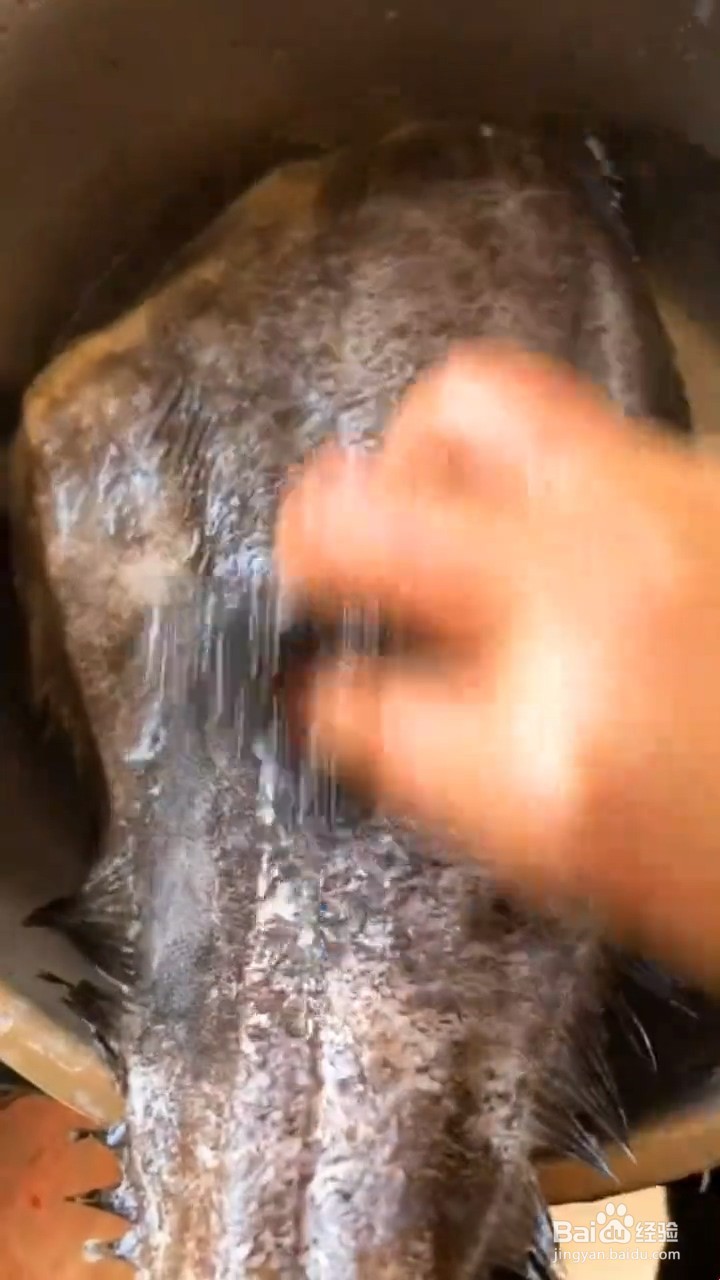 怎么制作清蒸鱼