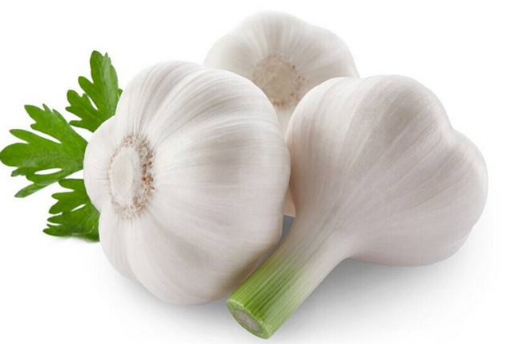 白色的食物有哪些